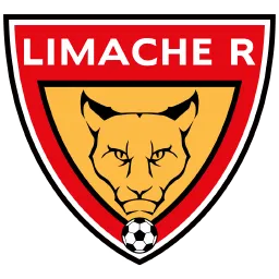 Limache R Team Logo
