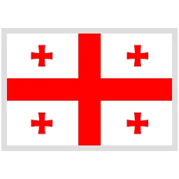 Georgia Team Logo