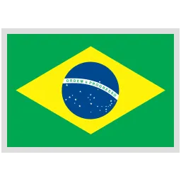 Brazil Team Logo