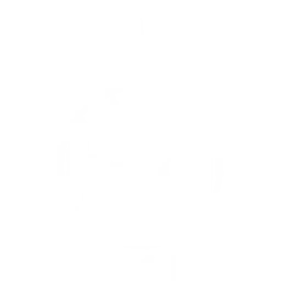 Falkirk FC Team Logo