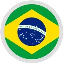BRAZIL Team Logo
