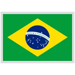 Brazil Team Logo