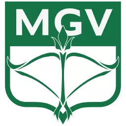 Minas Gerais VP Team Logo