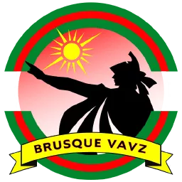 Brusque VAVP Team Logo