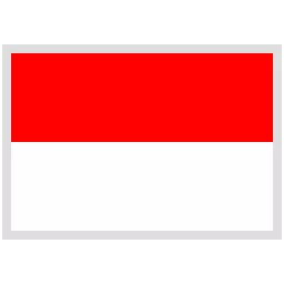 Indonesia Team Logo