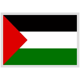 Palestine Team Logo