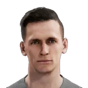 P. Olkowski