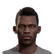 M. Diallo
