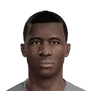 R. Goteni
