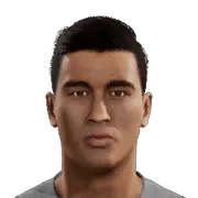A. Çelik