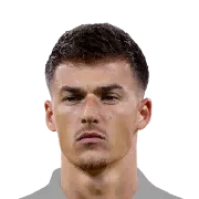 Ajdin Hrustić
