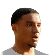 Armstrong Oko-Flex