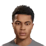 Joel Chima Fujita