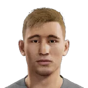 D. Štefulj