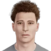 M. Ongaro