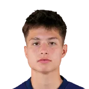 Esmir Bajraktarević
