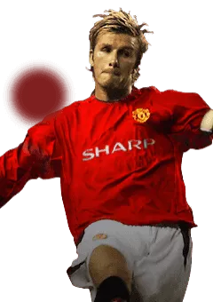 David Beckham player face