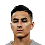 Erick Pulgar