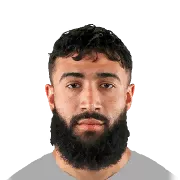 N. Fekir