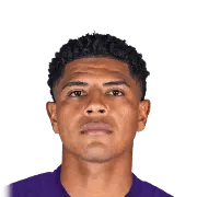 Wilder Cartagena
